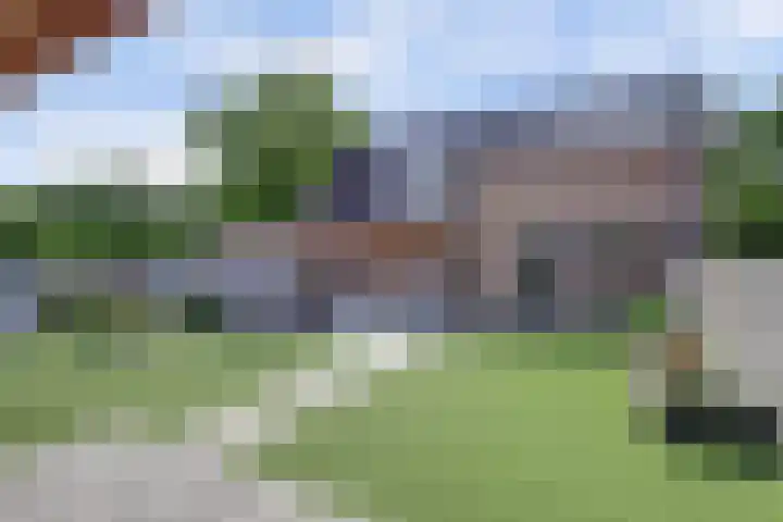 Zwaagdijk 314 Zwaagdijk-Oost thumbnail 43