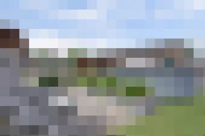Zwaagdijk 314 Zwaagdijk-Oost thumbnail 47