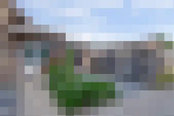 Zwaagdijk 314 Zwaagdijk-Oost thumbnail 5