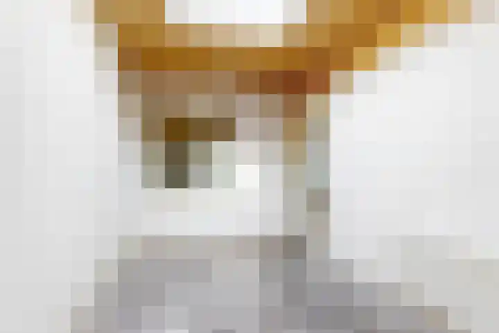 Zwaagdijk 35 Zwaagdijk-Oost thumbnail 11