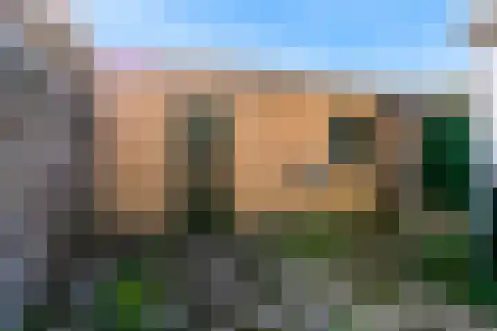 Zwaagdijk 35 Zwaagdijk-Oost thumbnail 22
