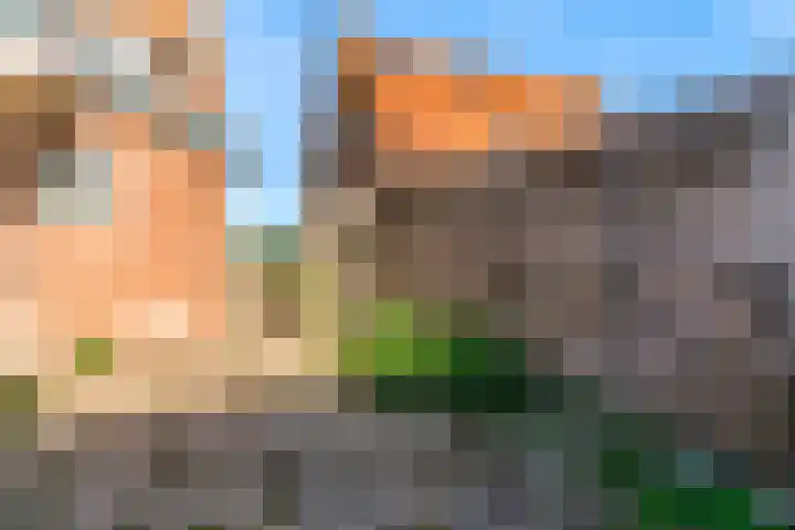 Zwaagdijk 35 Zwaagdijk-Oost thumbnail 25