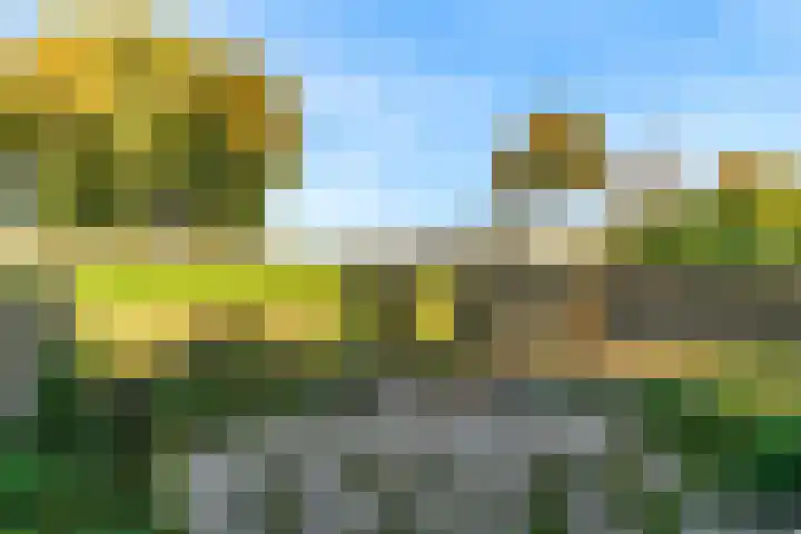 Zwaagdijk 35 Zwaagdijk-Oost thumbnail 28