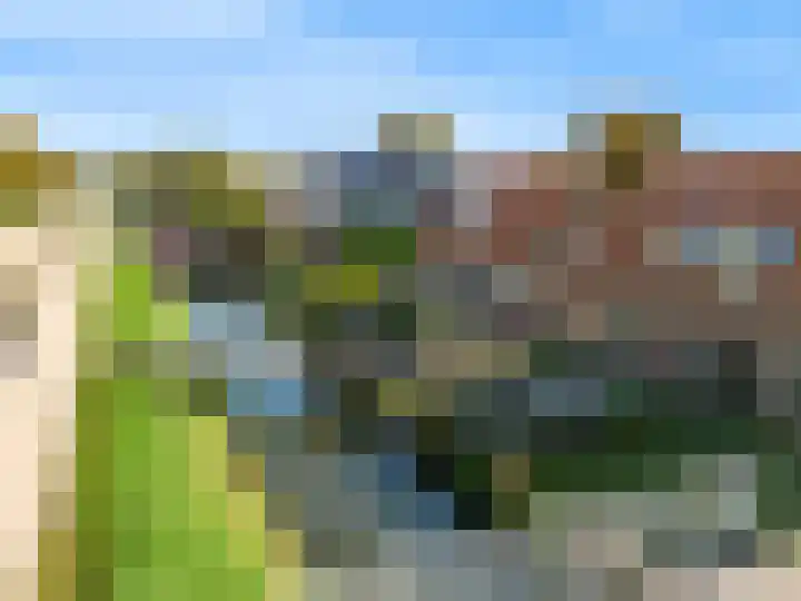 Zwaagdijk 35 Zwaagdijk-Oost thumbnail 29