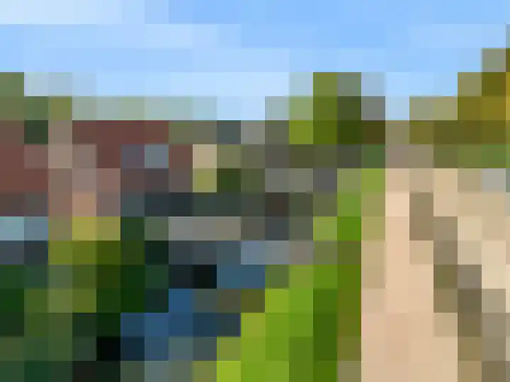Zwaagdijk 35 Zwaagdijk-Oost thumbnail 31