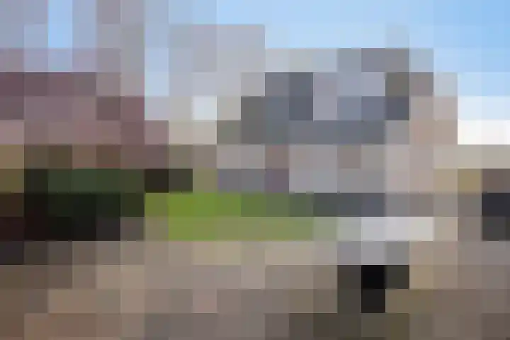 Zwaagdijk 350 Zwaagdijk-West thumbnail 14