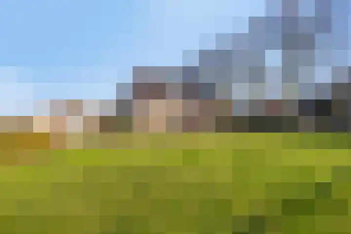 Zwaagdijk 350 Zwaagdijk-West thumbnail 43