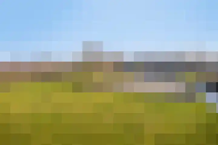 Zwaagdijk 350 Zwaagdijk-West thumbnail 6