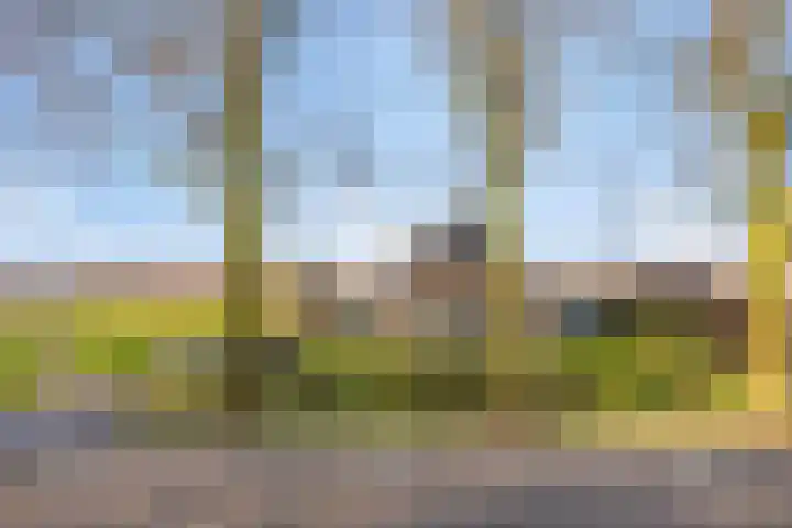Zwaagdijk 350 Zwaagdijk-West thumbnail 7