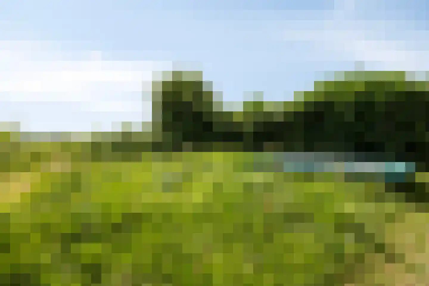 Zwaagdijk 365 Zwaagdijk-West thumbnail 32