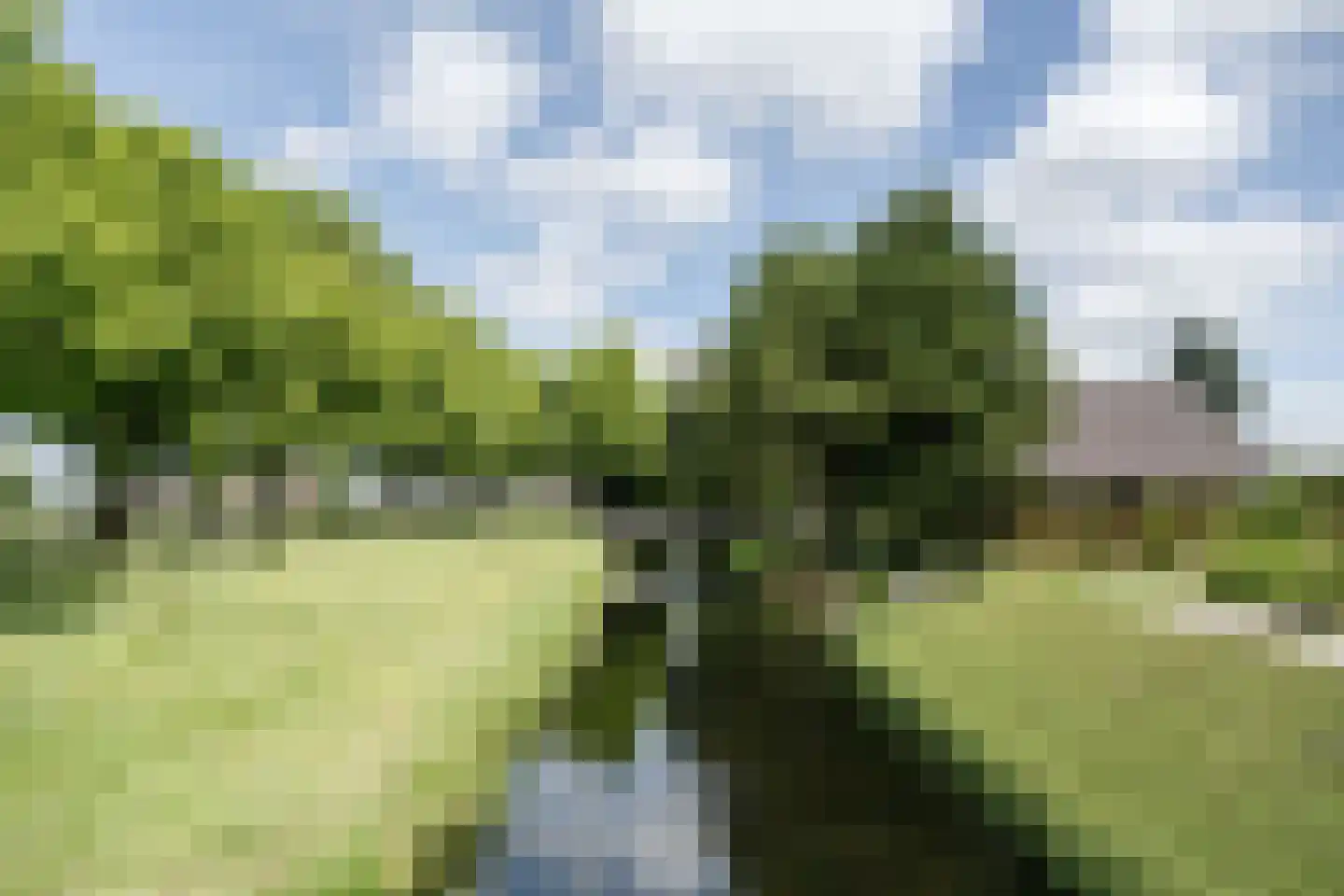 Zwaagdijk 373 Zwaagdijk-West thumbnail 68