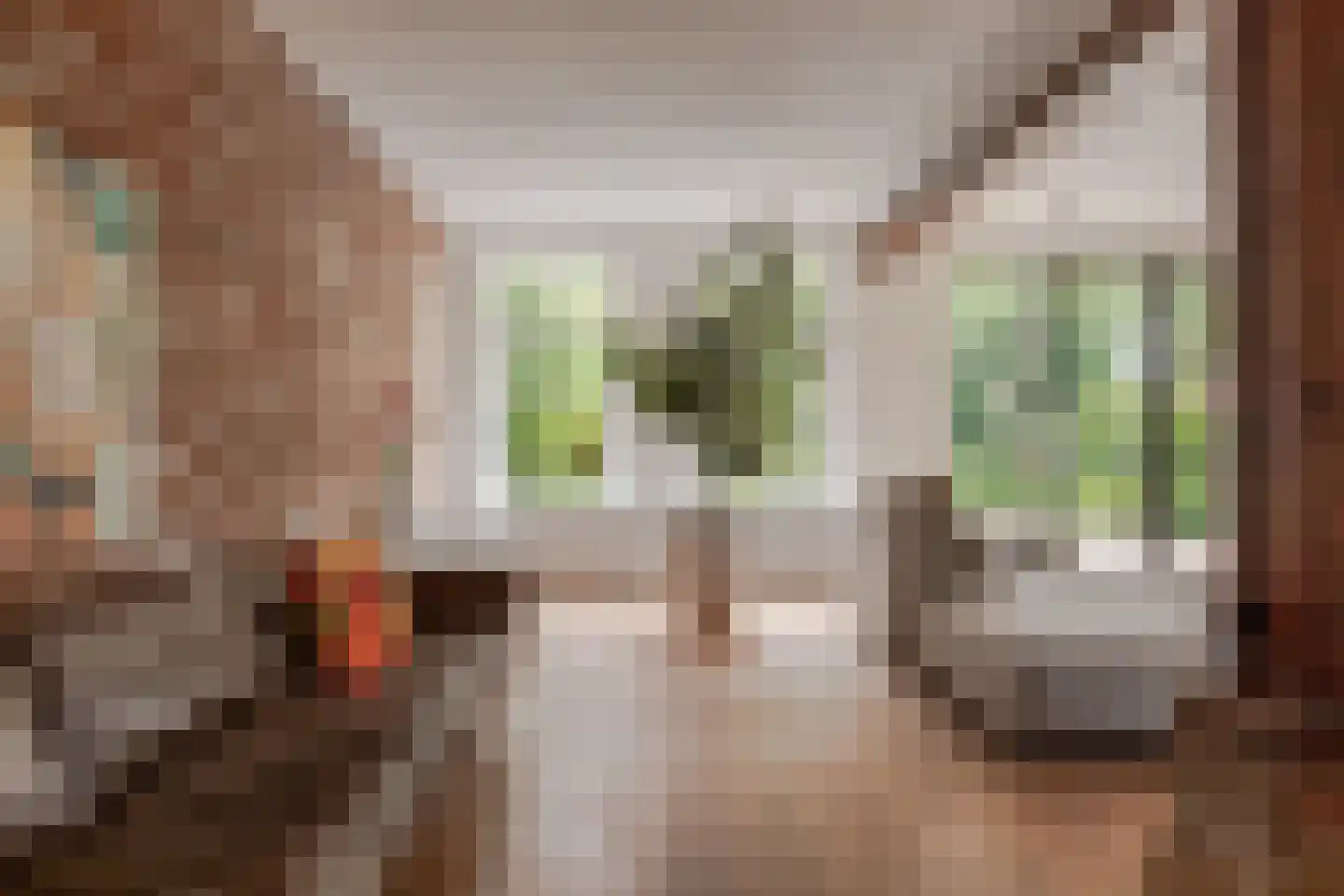 Zwaagdijk 67 A Zwaagdijk-Oost thumbnail 11