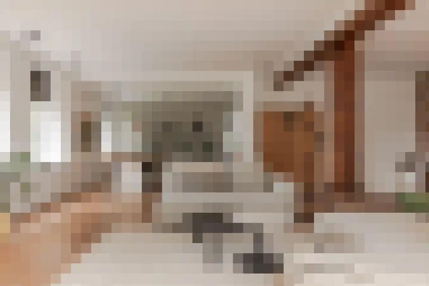 Zwaagdijk 67 A Zwaagdijk-Oost thumbnail 17