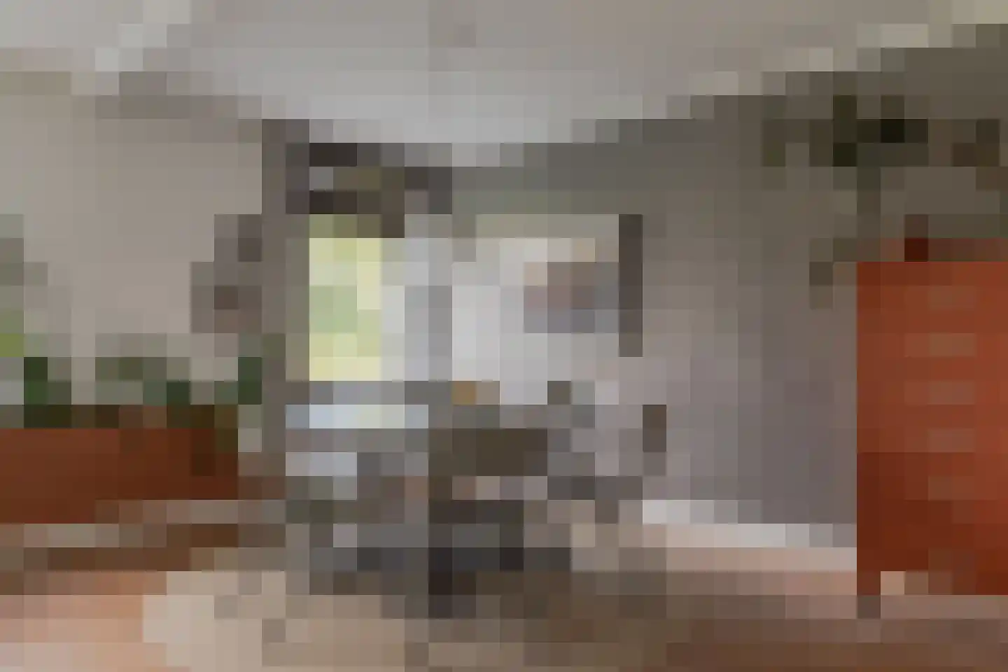 Zwaagdijk 67 A Zwaagdijk-Oost thumbnail 32