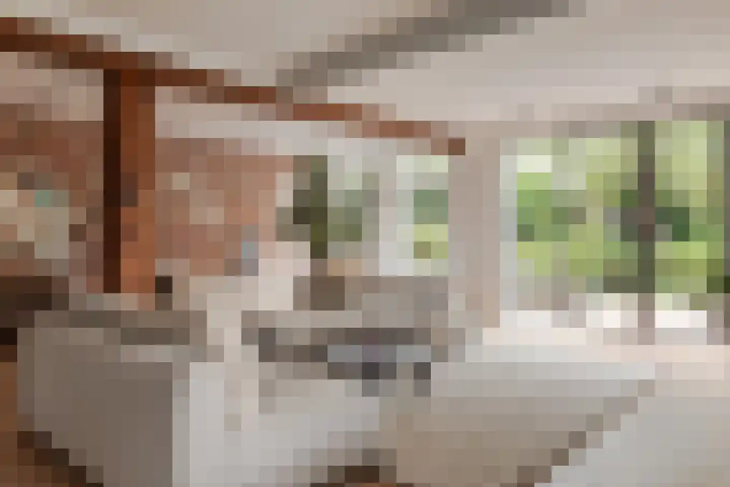 Zwaagdijk 67 A Zwaagdijk-Oost thumbnail 4