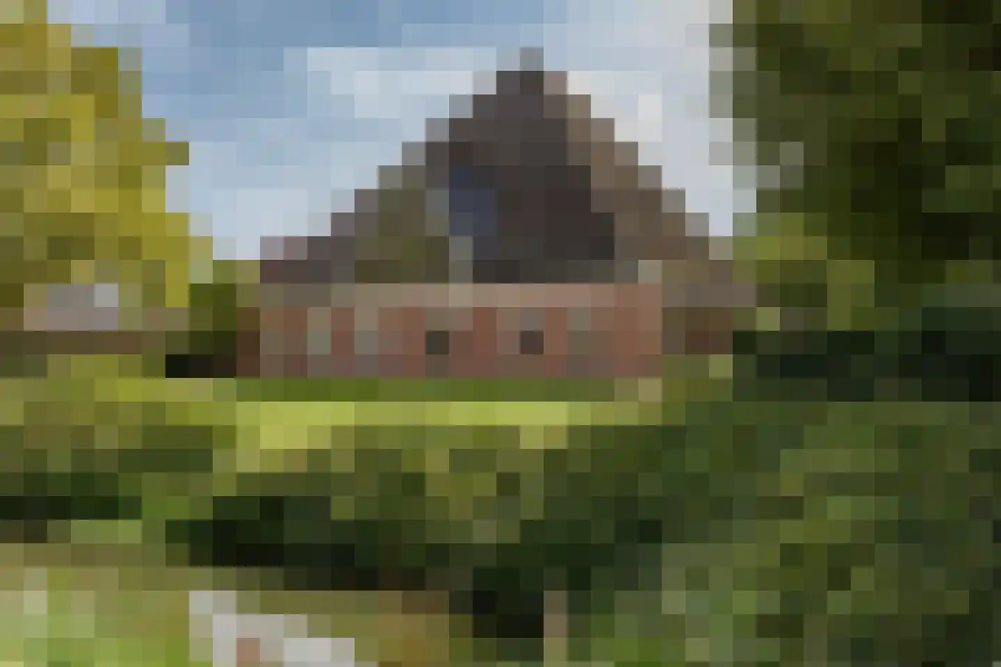 Zwaagdijk 67 A Zwaagdijk-Oost thumbnail 5