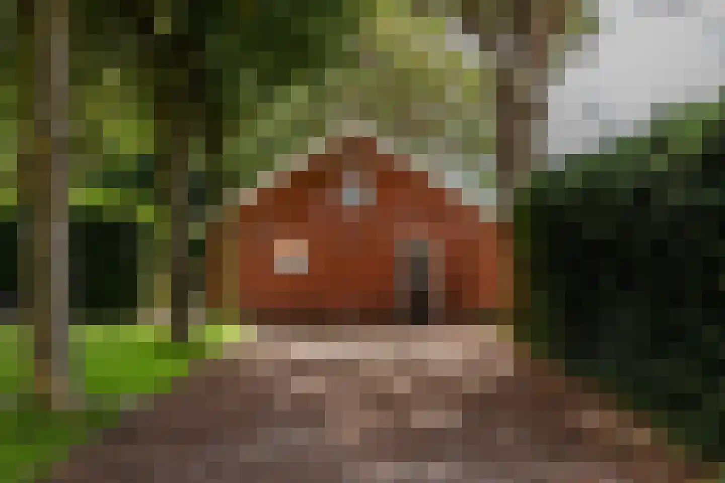Zwaagdijk 67 A Zwaagdijk-Oost thumbnail 56
