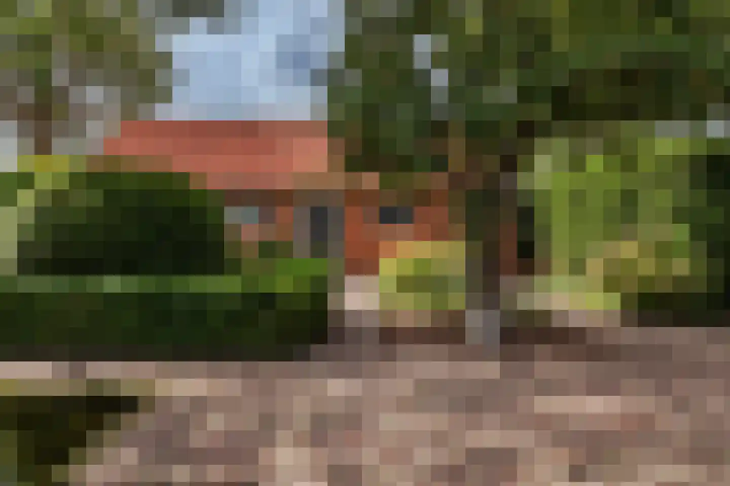 Zwaagdijk 67 A Zwaagdijk-Oost thumbnail 68