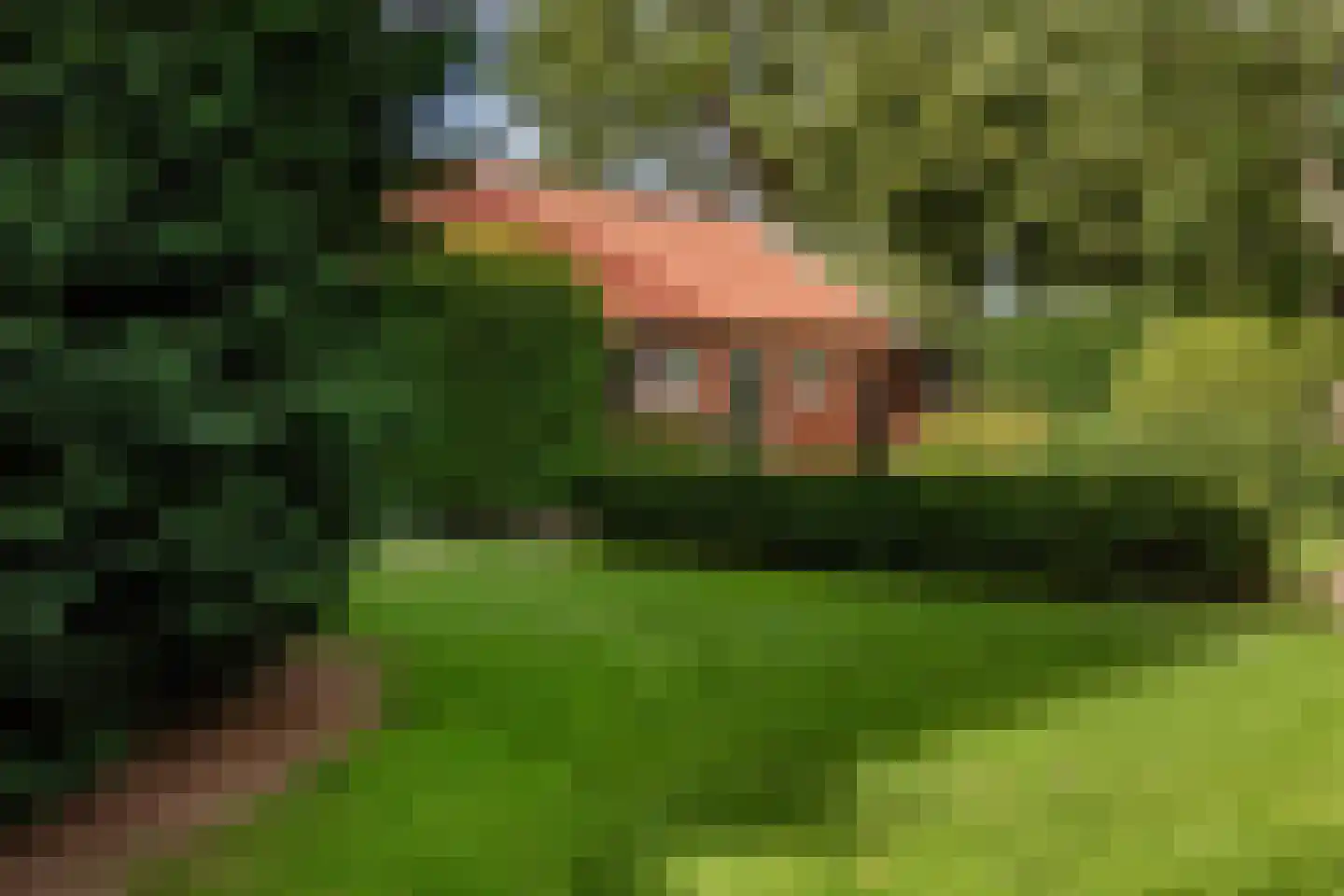 Zwaagdijk 67 A Zwaagdijk-Oost thumbnail 69