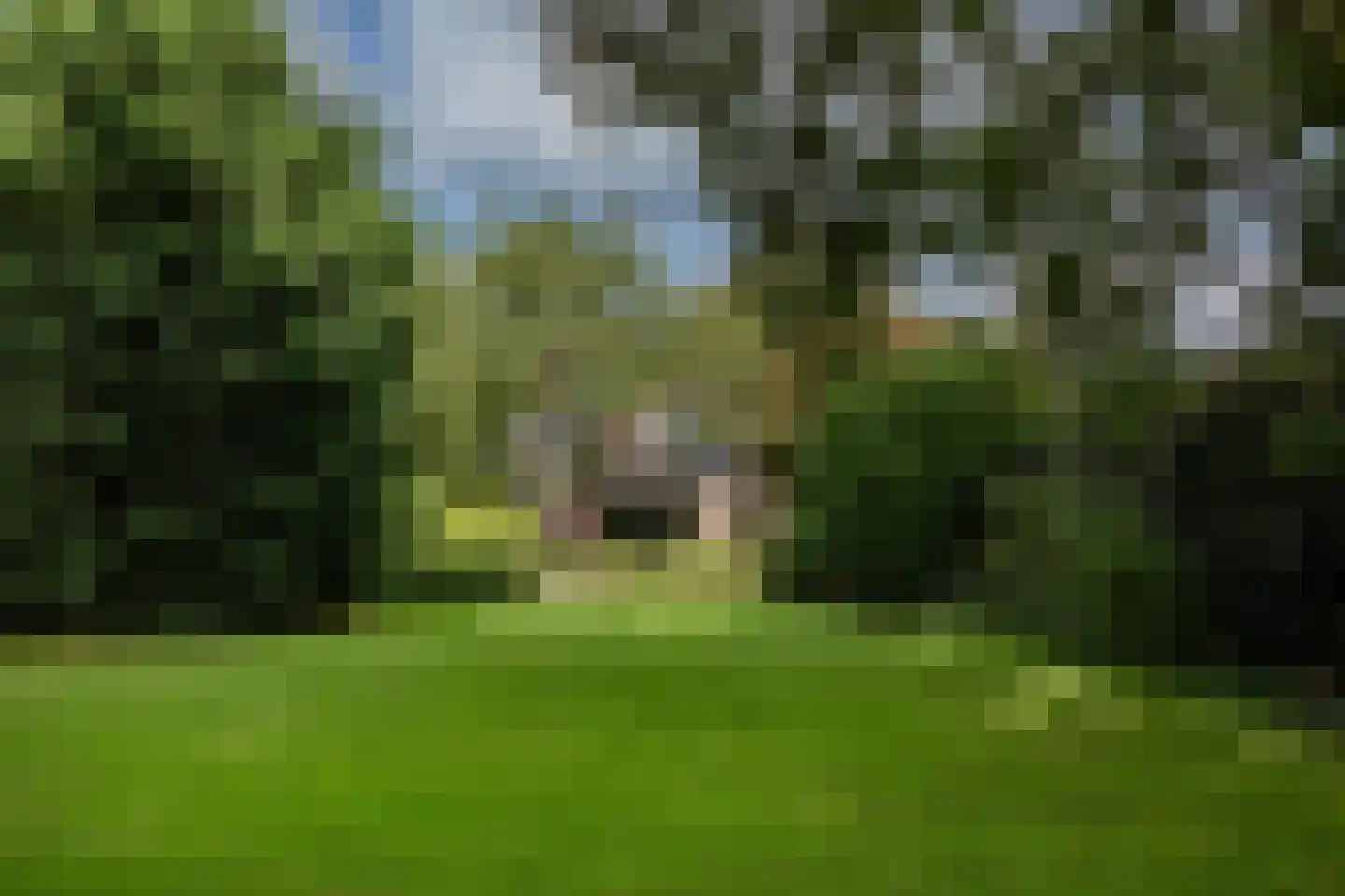 Zwaagdijk 67 A Zwaagdijk-Oost thumbnail 70