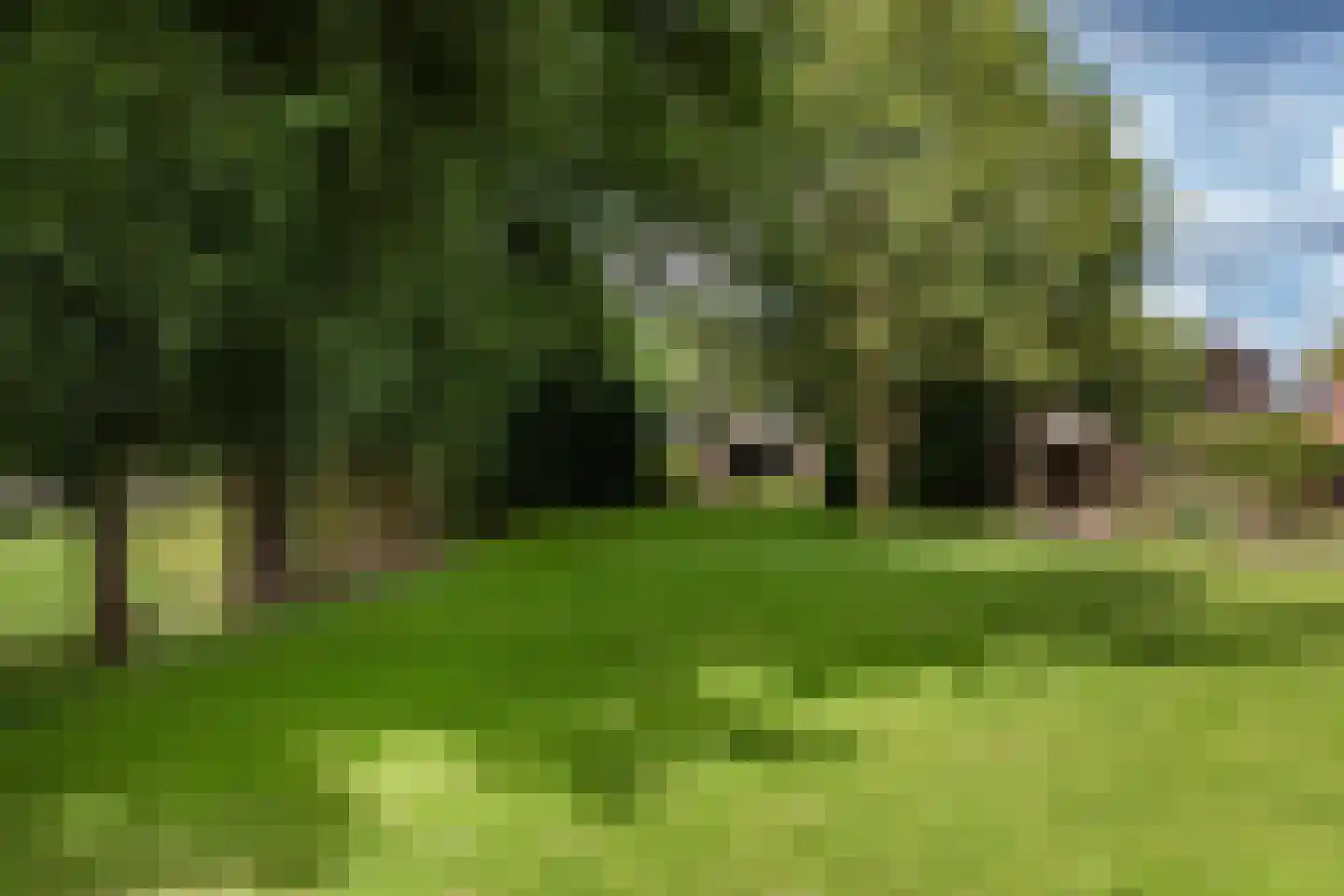Zwaagdijk 67 A Zwaagdijk-Oost thumbnail 71