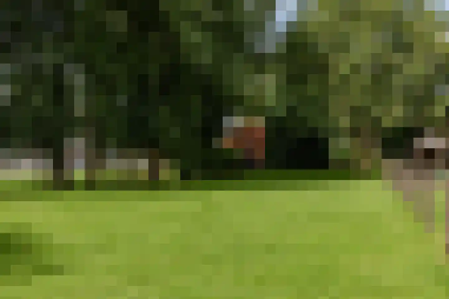 Zwaagdijk 67 A Zwaagdijk-Oost thumbnail 72