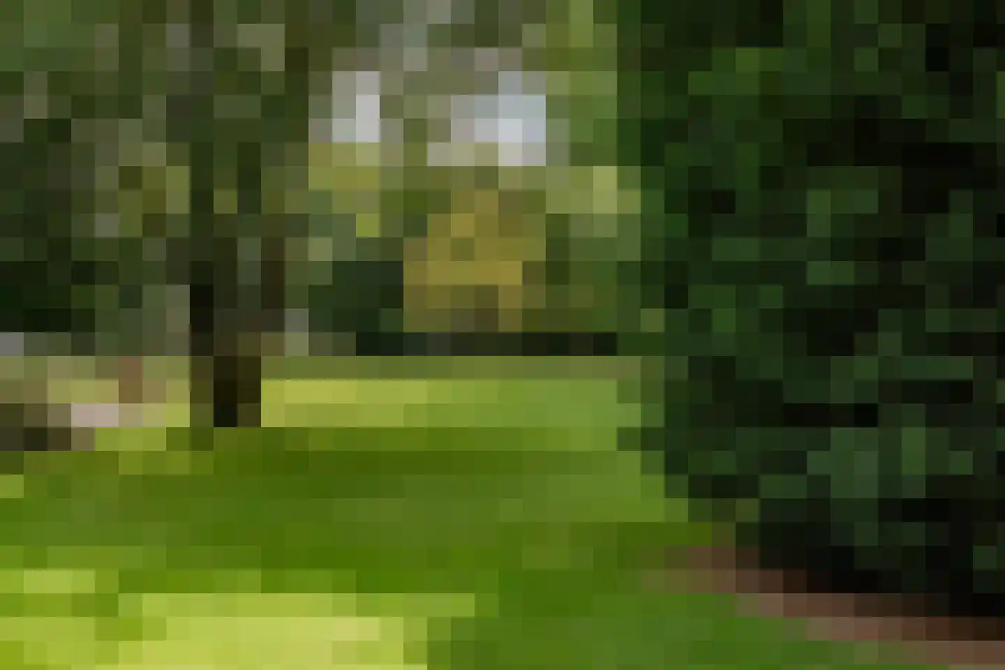 Zwaagdijk 67 A Zwaagdijk-Oost thumbnail 74