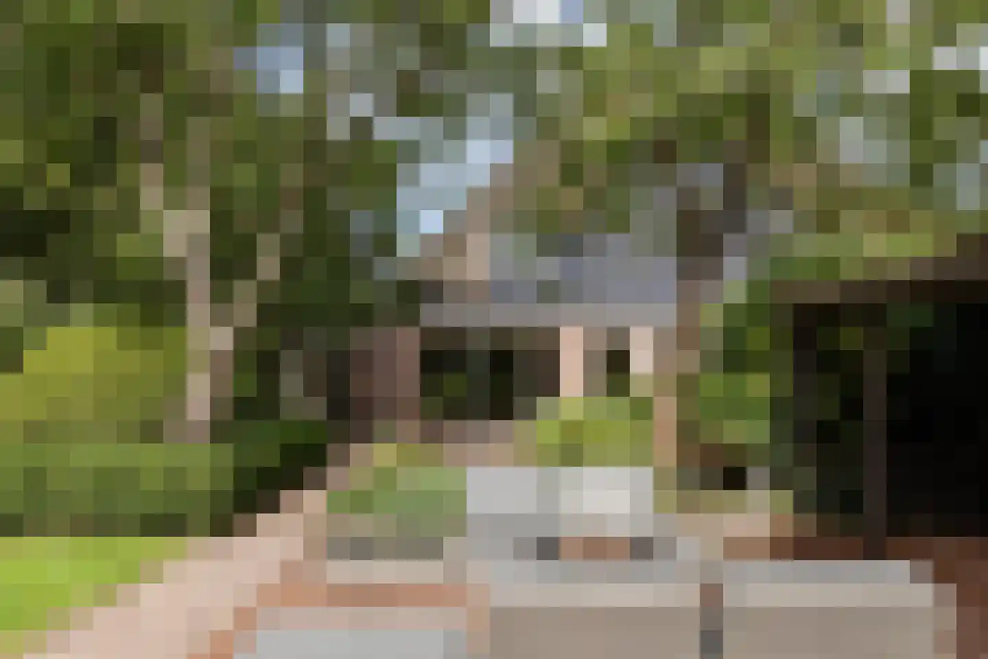 Zwaagdijk 67 A Zwaagdijk-Oost thumbnail 75