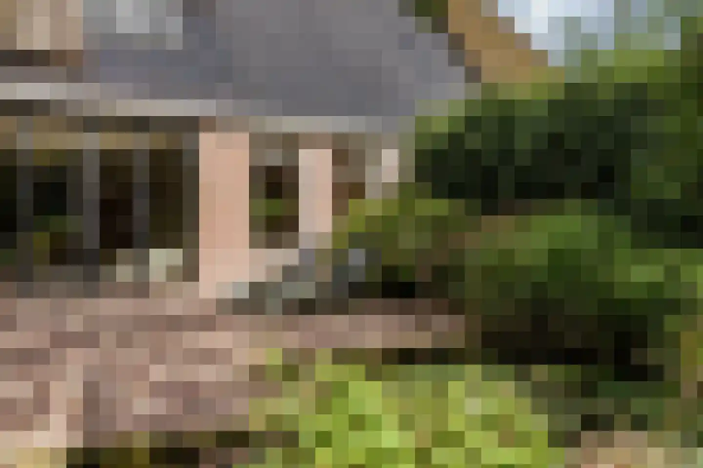 Zwaagdijk 67 A Zwaagdijk-Oost thumbnail 76
