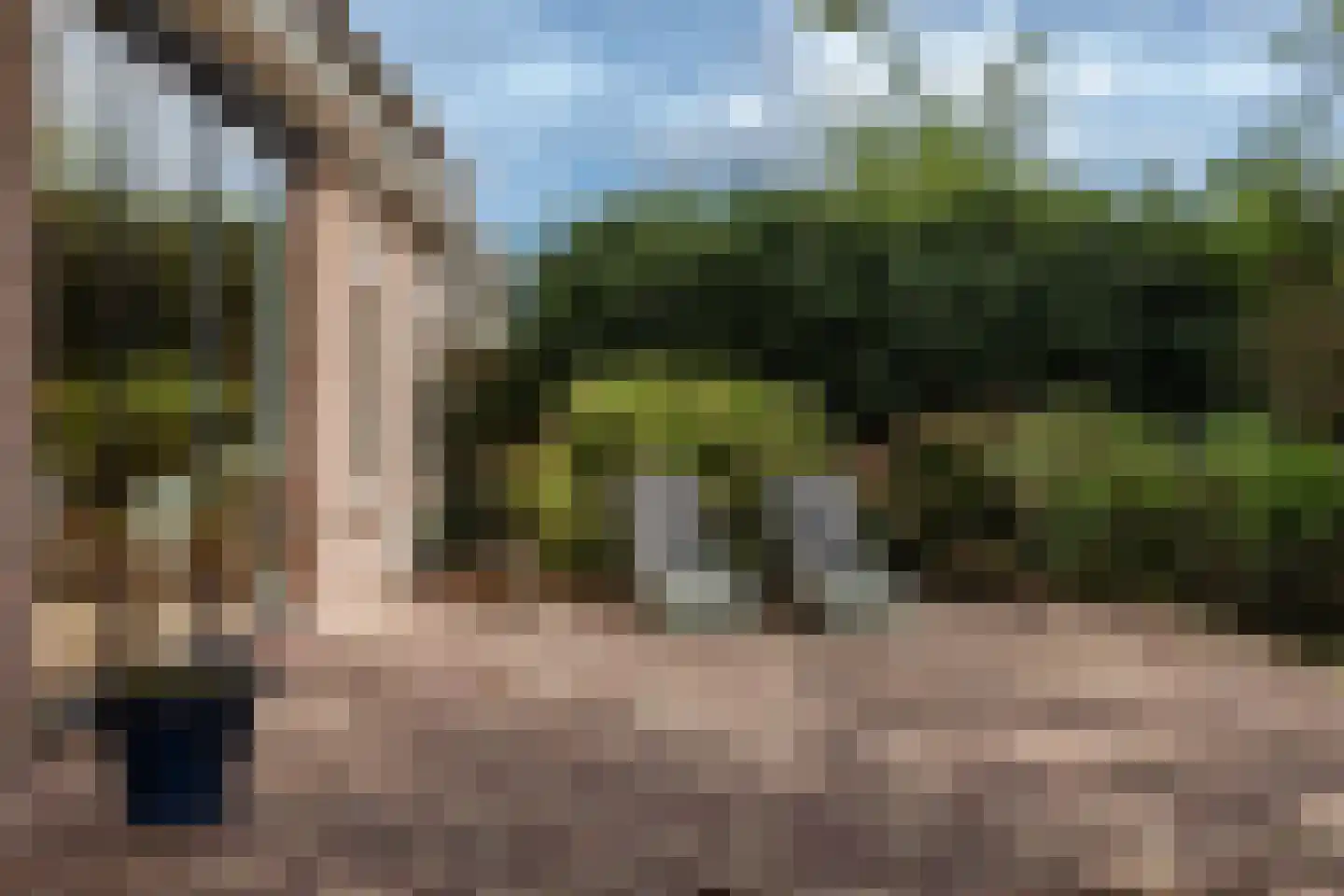 Zwaagdijk 67 A Zwaagdijk-Oost thumbnail 77
