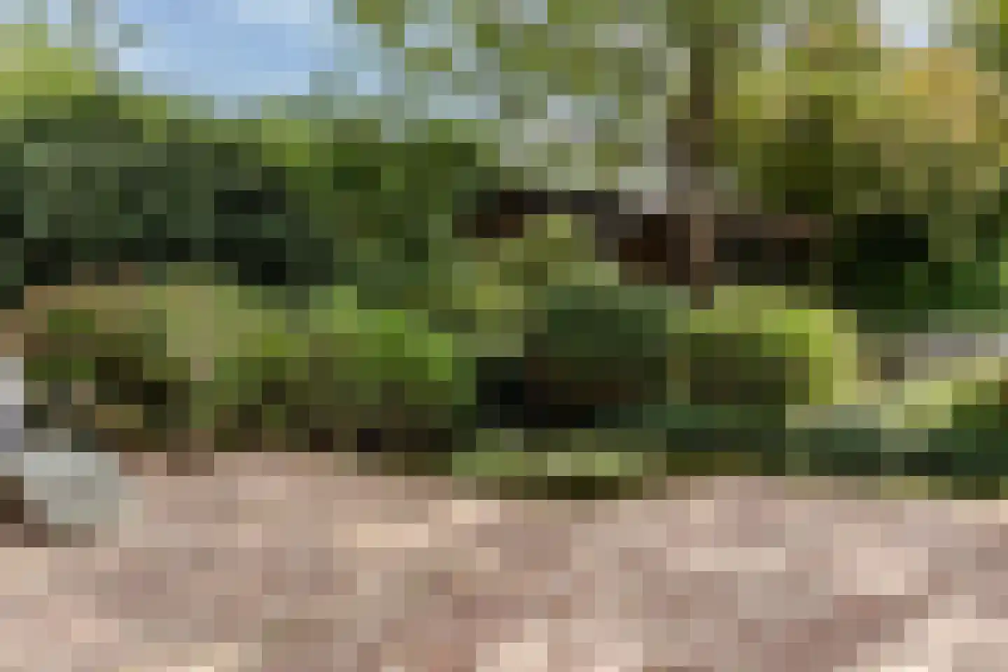 Zwaagdijk 67 A Zwaagdijk-Oost thumbnail 78
