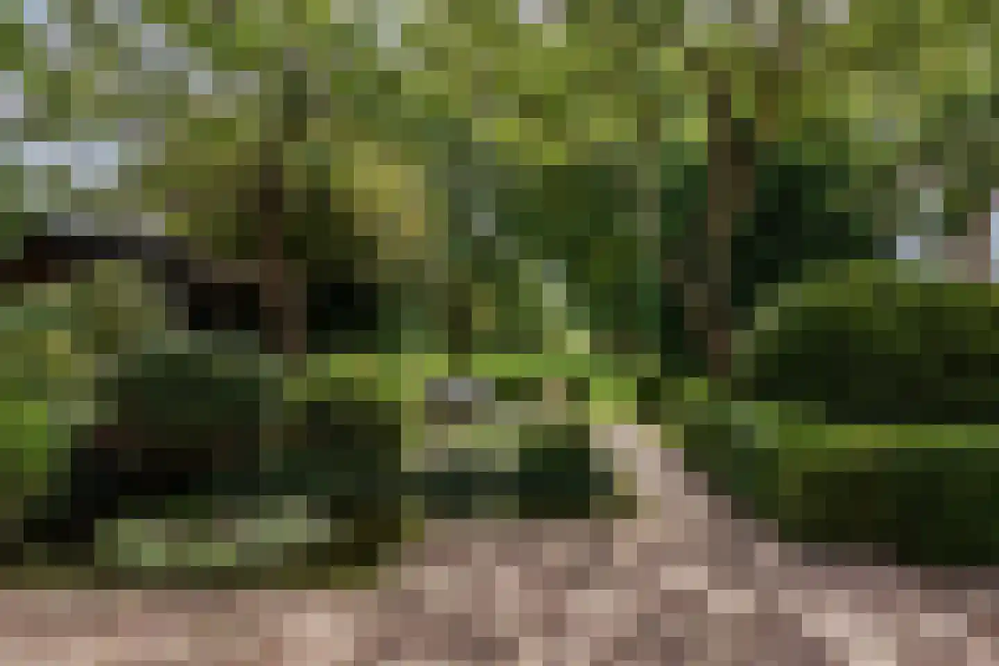 Zwaagdijk 67 A Zwaagdijk-Oost thumbnail 79