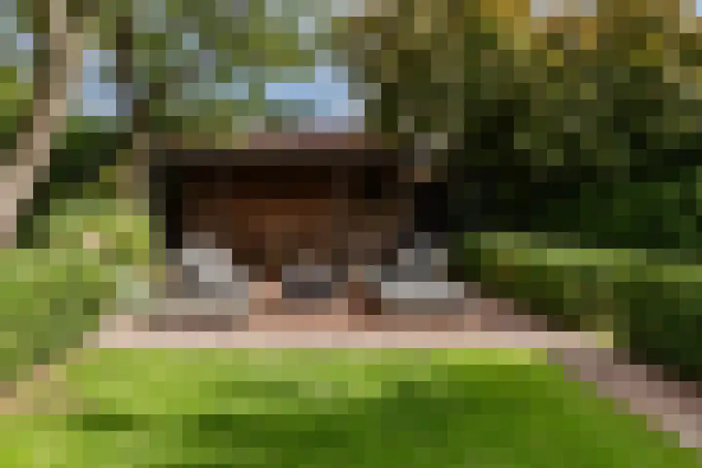 Zwaagdijk 67 A Zwaagdijk-Oost thumbnail 80