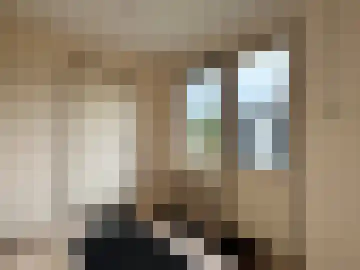 Zwaagdijk 68 Zwaagdijk-Oost thumbnail 10