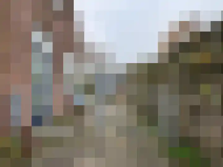 Zwaagdijk 68 Zwaagdijk-Oost thumbnail 24