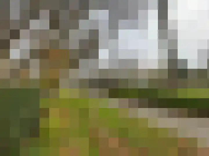 Zwaagdijk 68 Zwaagdijk-Oost thumbnail 25