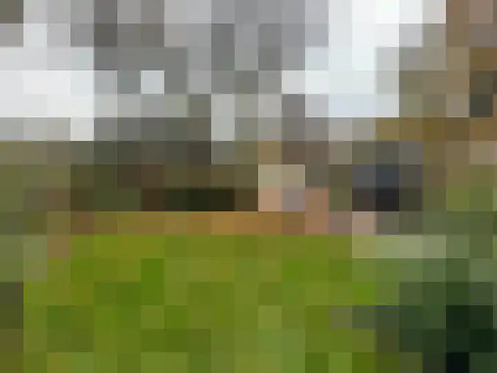 Zwaagdijk 68 Zwaagdijk-Oost thumbnail 26