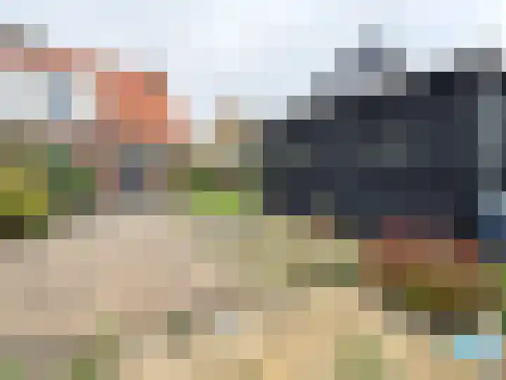 Zwaagdijk 68 Zwaagdijk-Oost thumbnail 4