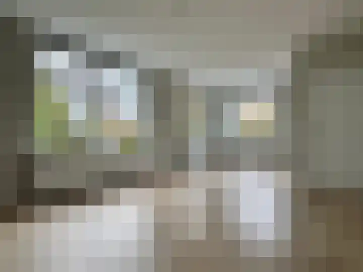 Zwaagdijk 68 Zwaagdijk-Oost thumbnail 6