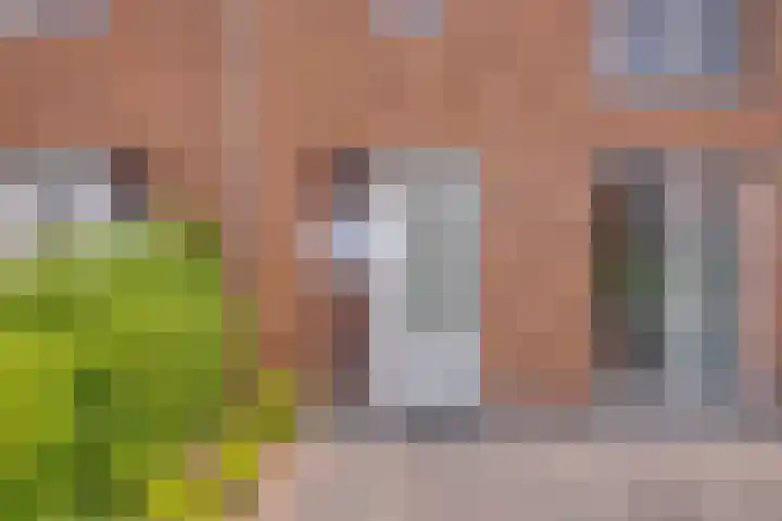 Zwaagerf 4 Tilburg thumbnail 11