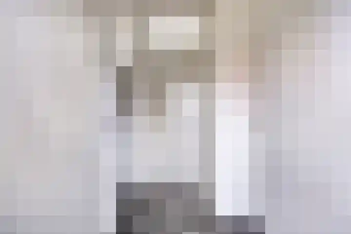 Zwaagerf 4 Tilburg thumbnail 13