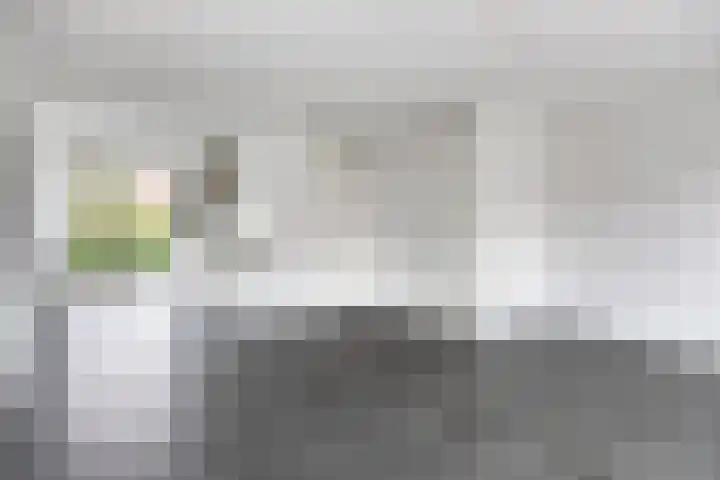 Zwaagerf 4 Tilburg thumbnail 15