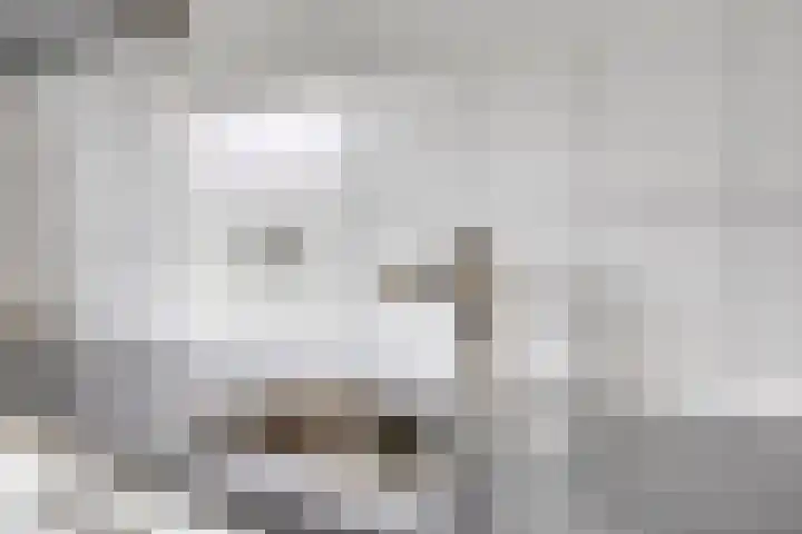 Zwaagerf 4 Tilburg thumbnail 17