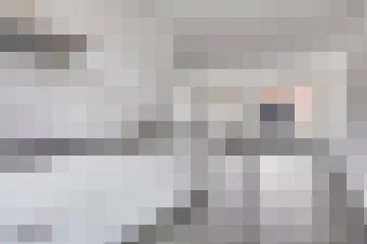 Zwaagerf 4 Tilburg thumbnail 18
