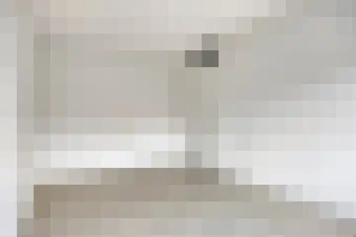 Zwaagerf 4 Tilburg thumbnail 22