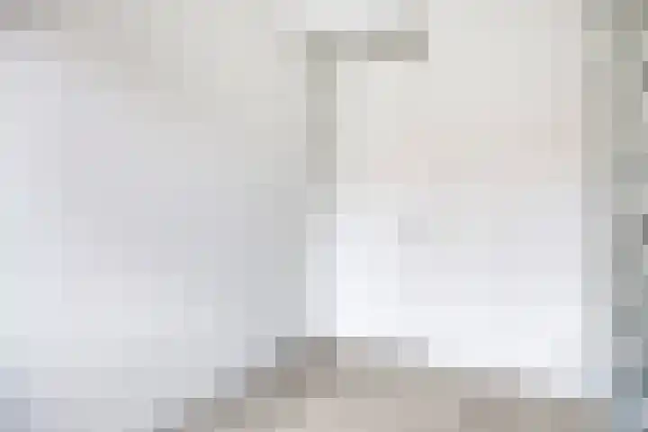 Zwaagerf 4 Tilburg thumbnail 27