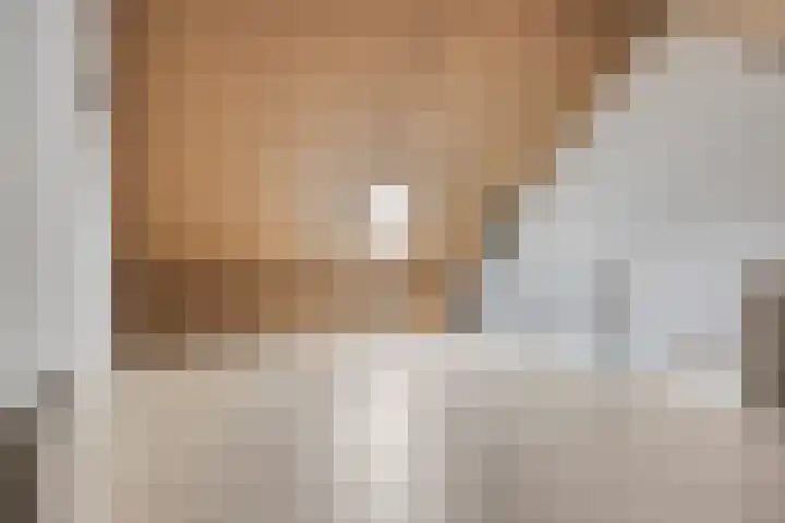 Zwaagerf 4 Tilburg thumbnail 28
