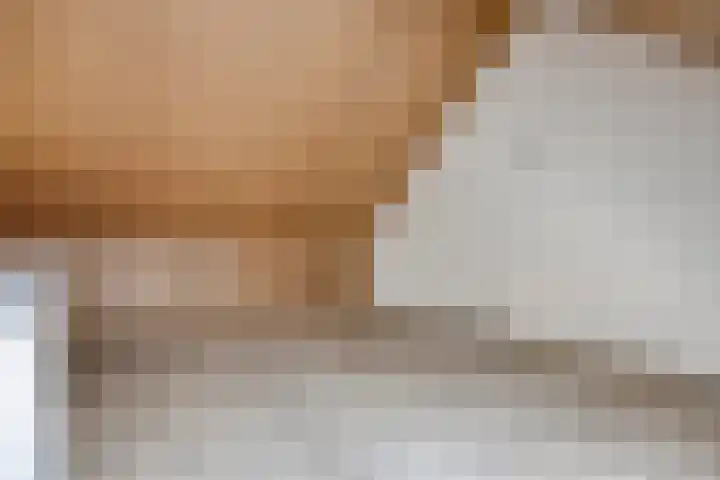 Zwaagerf 4 Tilburg thumbnail 29