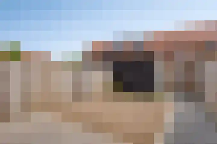Zwaagerf 4 Tilburg thumbnail 30
