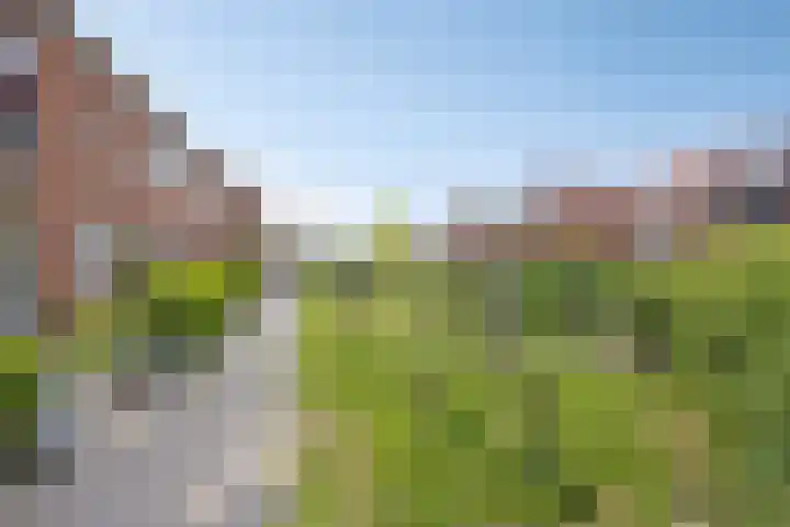 Zwaagerf 4 Tilburg thumbnail 35